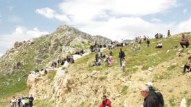 Adıyaman’da Ters Lale Festivali’ne Yoğun İlgi: Doğa, Kamp ve Yamaç Paraşütü Bir Arada
